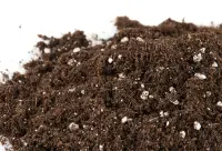 Plagron Grow Mix mit Perlite 25 L