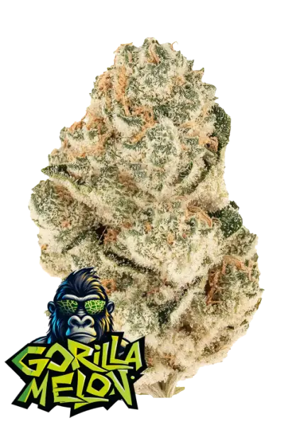 420 Fast Buds - Gorilla Melon