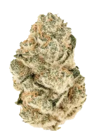 420 Fast Buds - Gorilla Melon