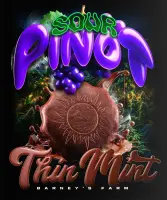 Barneys Farm - Thin Mint x Sour Pinot Auto - 1er Sample Pack