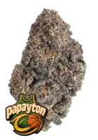 420 Fast Buds - Papayton™ - 3 Stk feminisiert