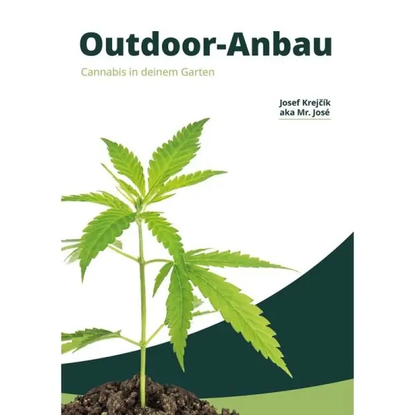 Outdoor-Anbau Cannabis in deinem Garten 2024 | Mr. Jose