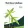 Outdoor-Anbau Cannabis in deinem Garten 2024 | Mr. Jose
