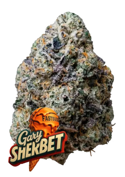 420 Fast Buds - Gary Sherbet™ - 3 Stk feminisiert