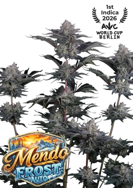 420 Fast Buds - Mendo Frost Auto™