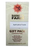 Barneys Farm - Ayahuasca Purple - 3er Gift Pack
