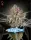 Green House Seed Co. - Great White Shark - 3 Stk feminisiert