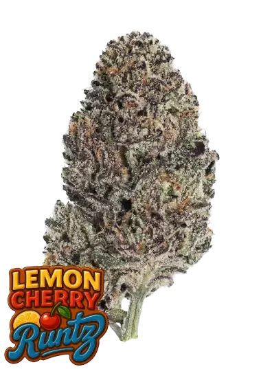 420 Fast Buds - Lemon Cherry Runtz