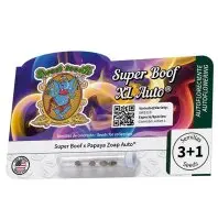 Sweet Seeds - Super Boof XL Auto® - 3+1 Stk feminisiert