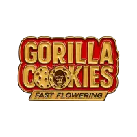 420 Fast Buds - Gorilla Cookies FF - Fastflowering 3 Stk feminisiert