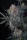 420 Fast Buds - Lemon Tree Auto™ - 1 Stk feminisiert