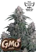 420 Fast Buds - GMO Auto™ - 3 Stk feminisiert