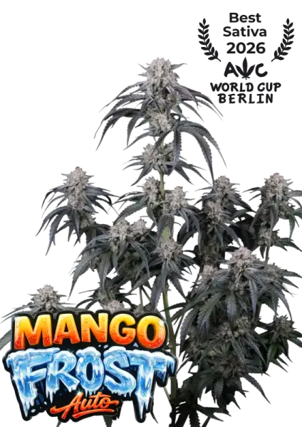 420 Fast Buds - Mango Frost Auto™