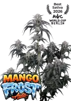 420 Fast Buds - Mango Frost Auto™