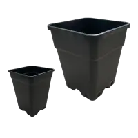 Pflanzentopf Vierkanttopf schwarz – 0,5L bis 30L