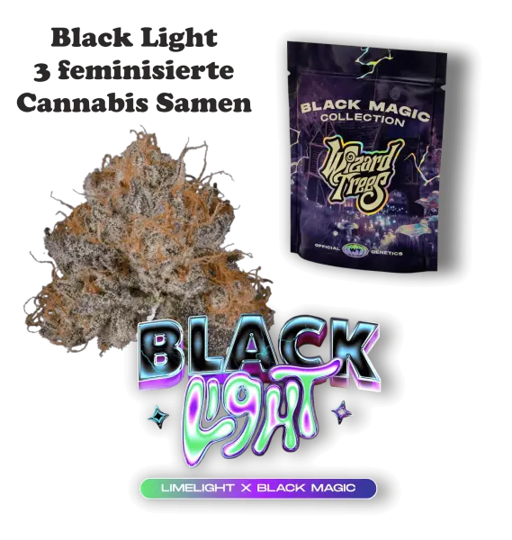Wizard Trees Black Light – 3 feminisierte Cannabis Samen
