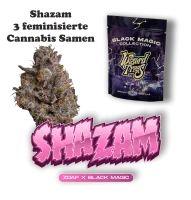 Wizard Trees Shazam – 3 feminisierte Cannabis Samen