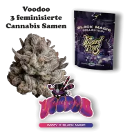 Wizard Trees Voodoo – 3 feminisierte Cannabis Samen