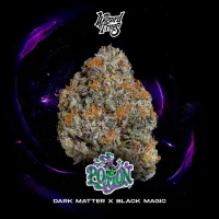 Wizard Trees Potion – 3 feminisierte Cannabis Samen