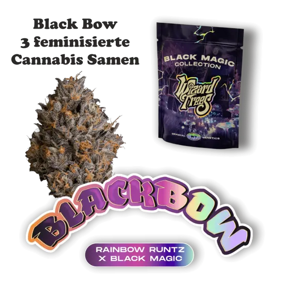 Wizard Trees Black Bow – 3 feminisierte Cannabis Samen