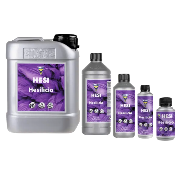 HESI Hesilicio – Silizium-Booster mit 3 % Orthokieselsäure