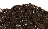 Plagron Royalmix mit Perlite 25 L – organisch vorgedüngte Grow Erde