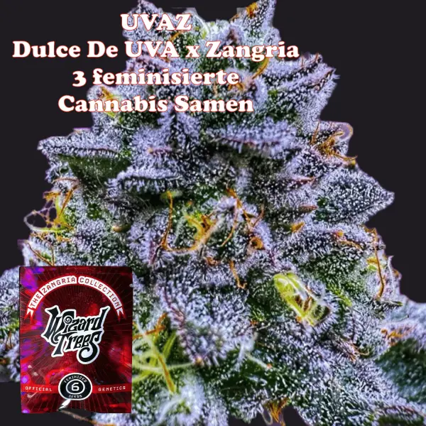 Wizard Trees Uvaz - 3 feminisierte Cannabis Samen