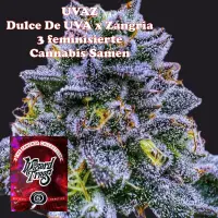 Wizard Trees Uvaz - 3 feminisierte Cannabis Samen