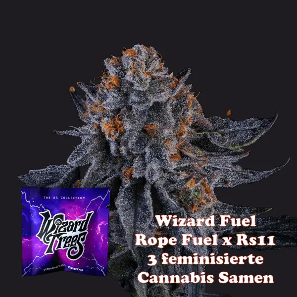 Wizard Trees Wizard Fuel - 3 feminisierte Cannabis Samen