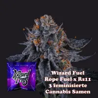 Wizard Trees Wizard Fuel - 3 feminisierte Cannabis Samen