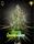Green House Seed Co. - Super Lemon Haze - Feminisiert
