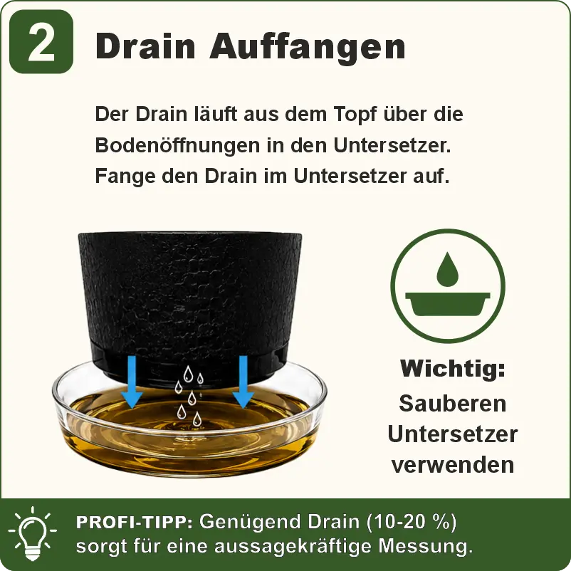 Schritt 2 Drain sauber im Untersetzer auffangen