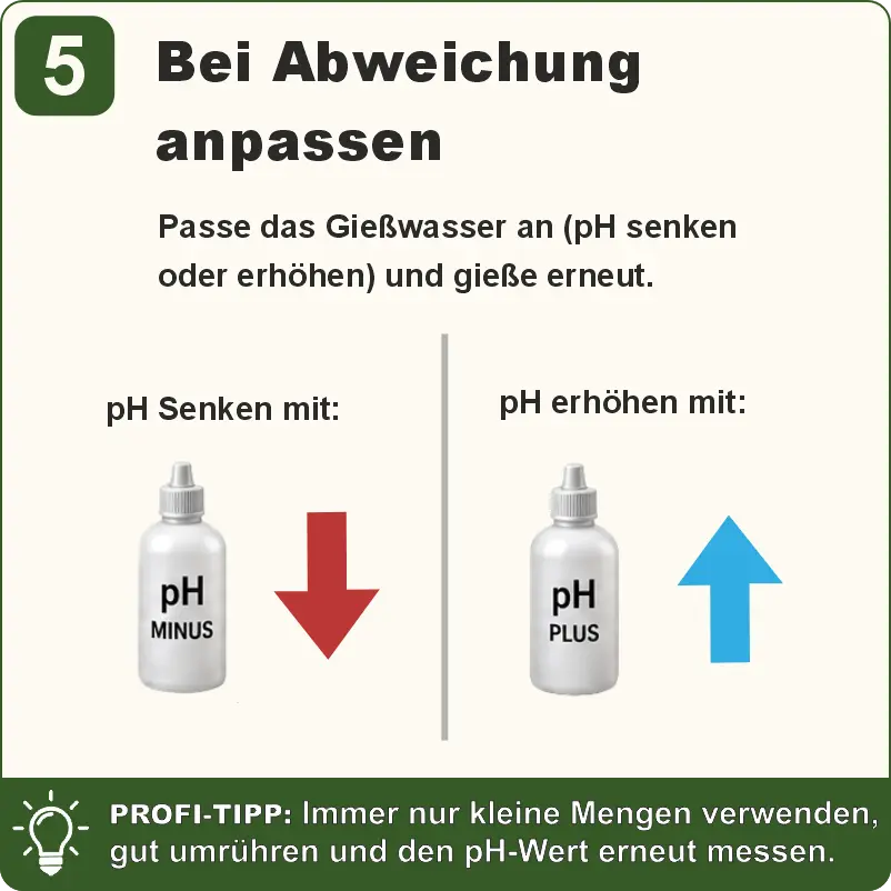 Schritt 5 Drain-pH bei Abweichung mit pH Plus oder pH Minus anpassen