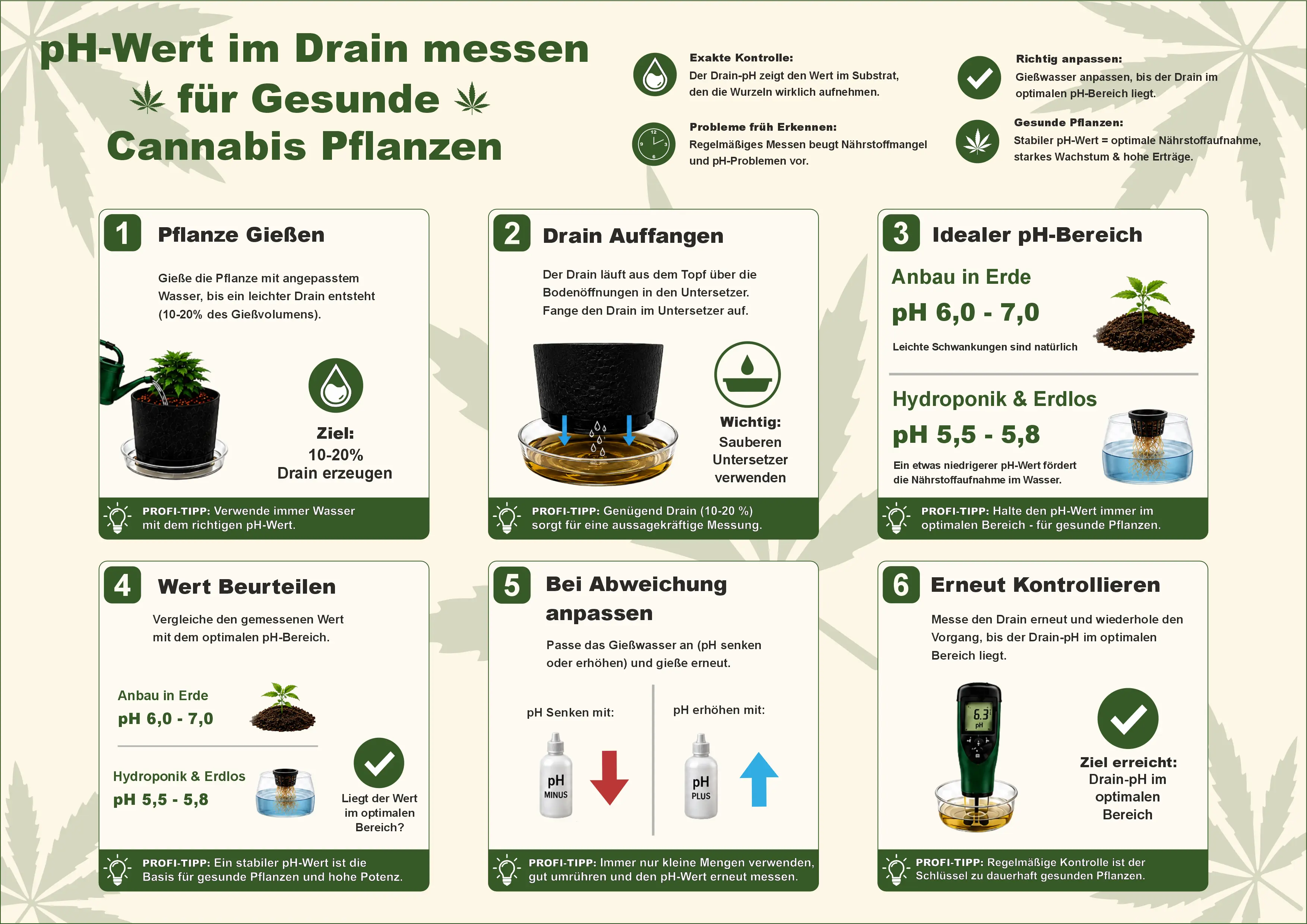 Übersicht pH-Wert im Drain messen Schritt für Schritt