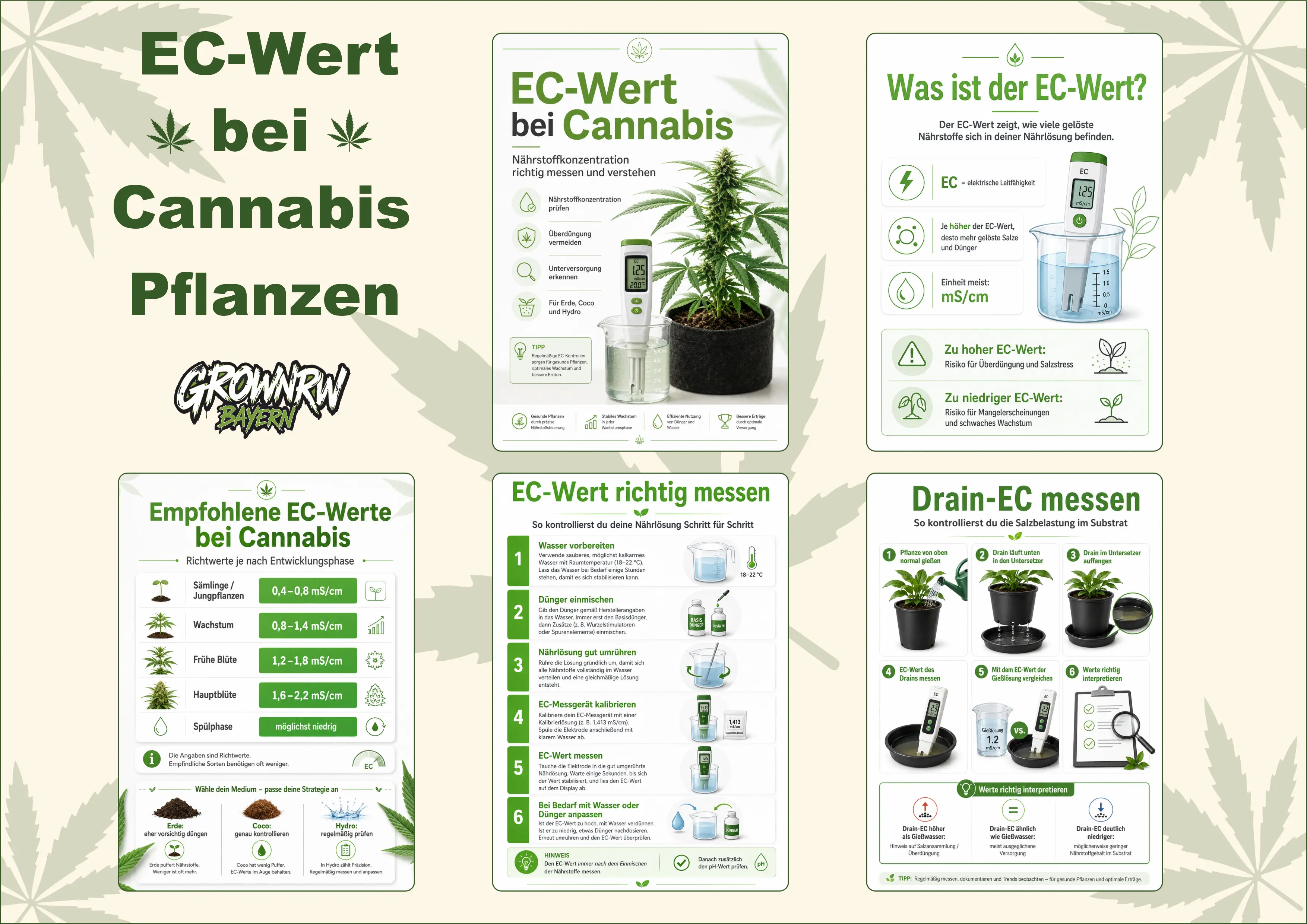 Übersicht EC-Wert bei Cannabis