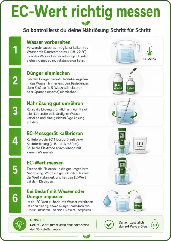 EC-Wert richtig messen Schritt für Schritt
