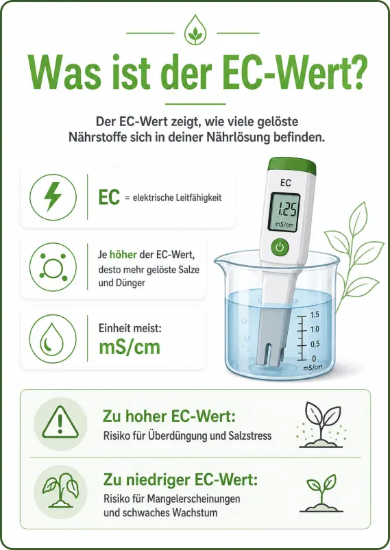 Was ist der EC-Wert einfach erklärt