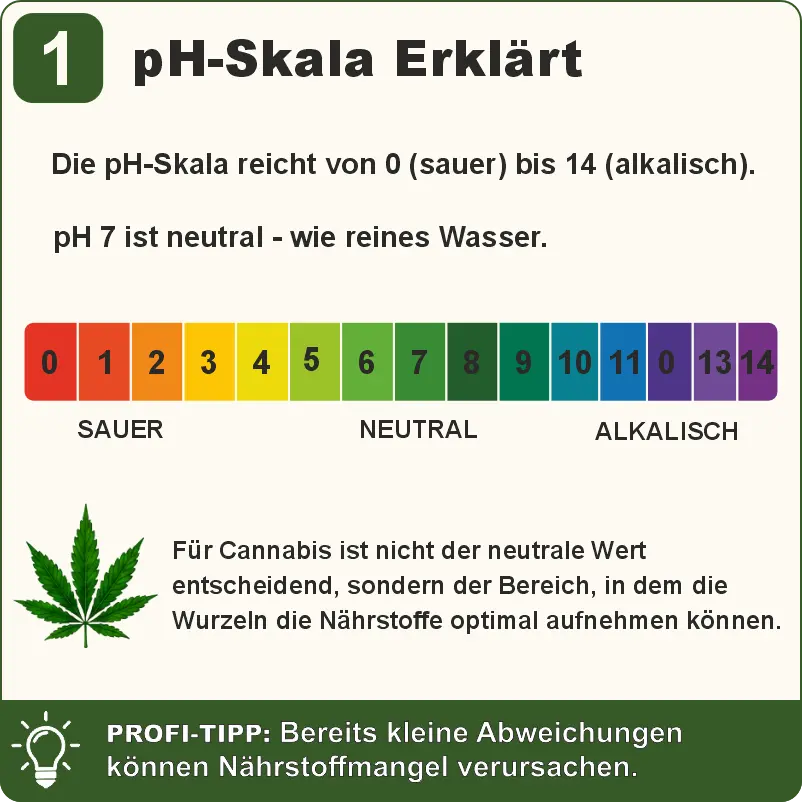 pH-Skala erklärt für Cannabispflanzen
