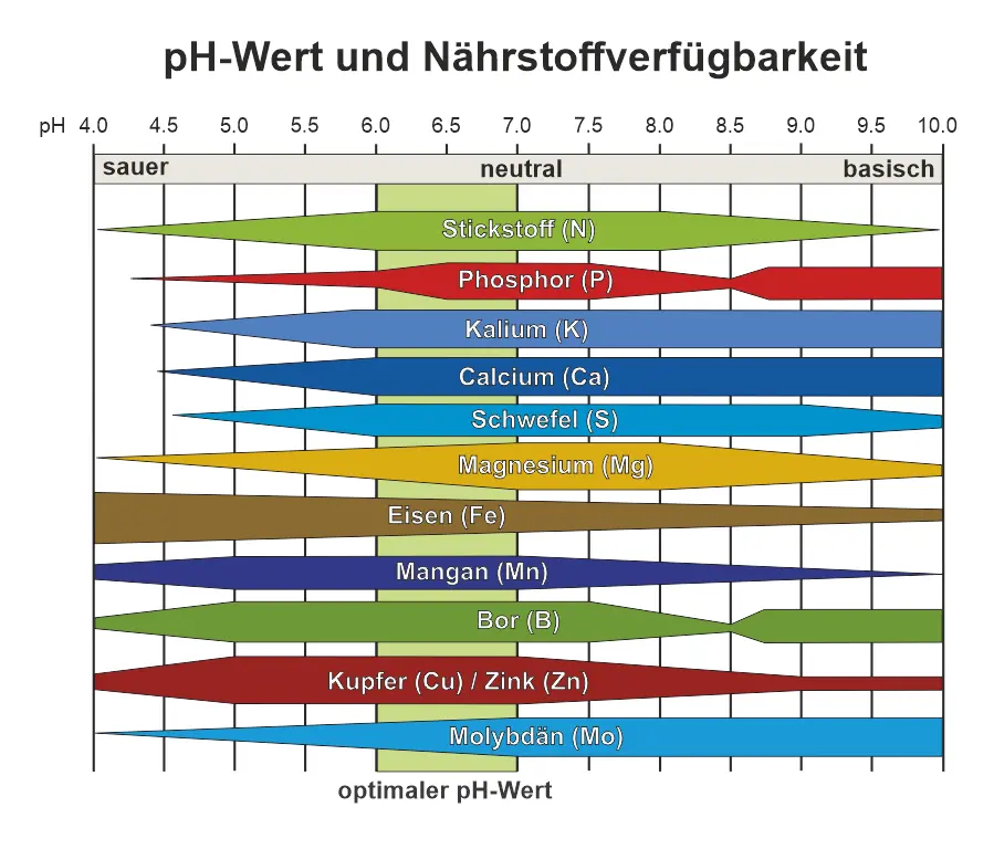 pH-Wert und Nährstoffverfügbarkeit in der Pflanzenzucht